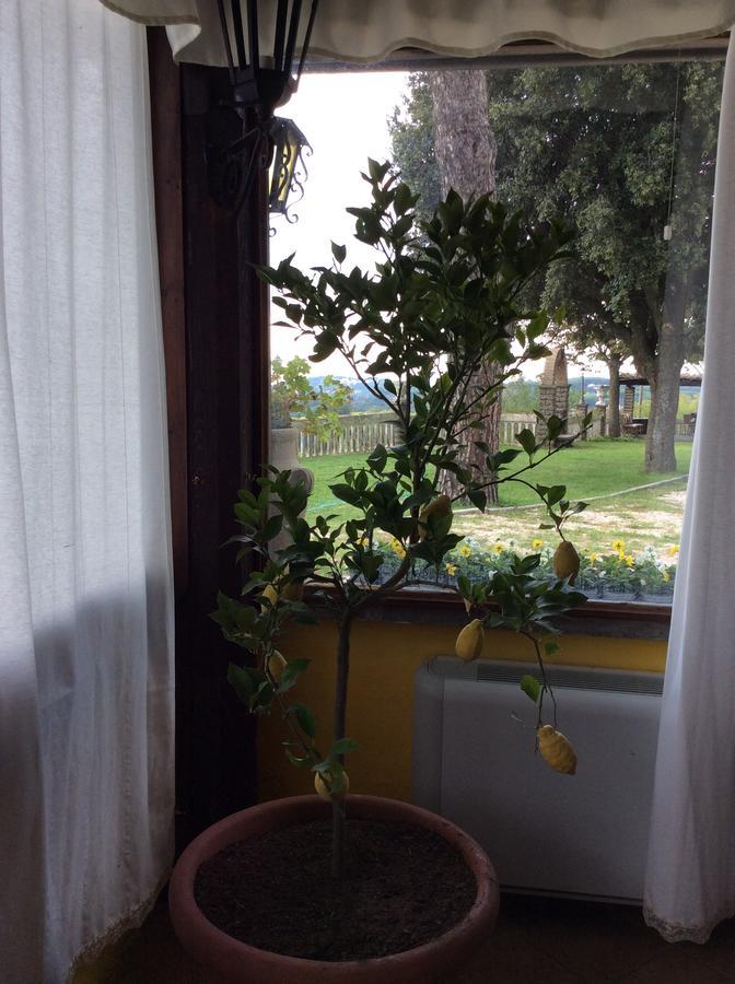 Borgo Della Molara Hotel Grottaferrata Kültér fotó