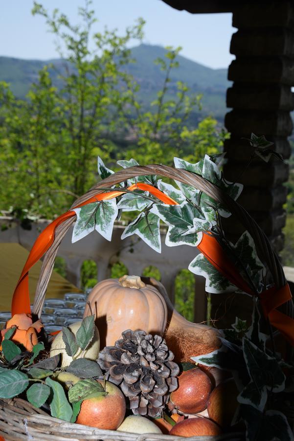 Borgo Della Molara Hotel Grottaferrata Kültér fotó